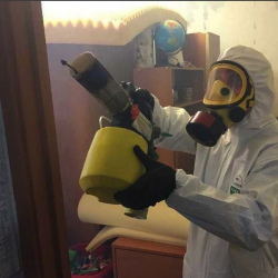 Уничтожение клопов в квартире. Подпорожье